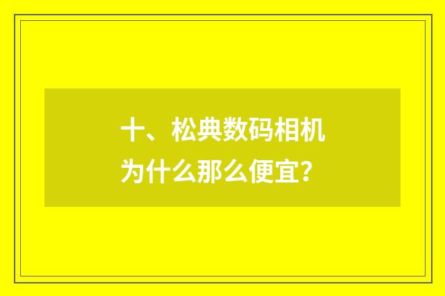 十、松典数码相机为什么那么便宜？