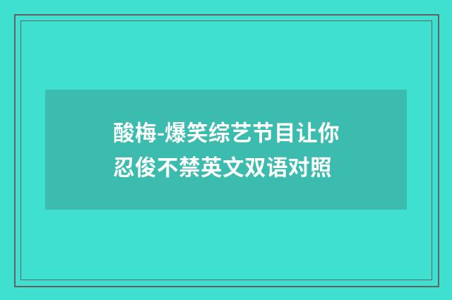 酸梅-爆笑综艺节目让你忍俊不禁英文双语对照