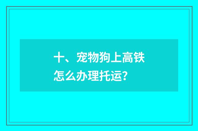 十、宠物狗上高铁怎么办理托运？