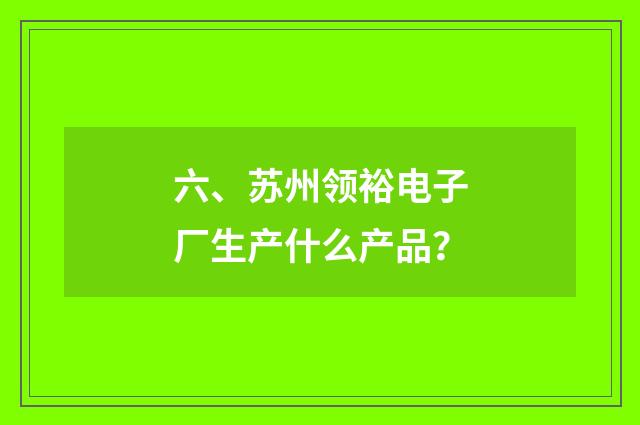 六、苏州领裕电子厂生产什么产品？