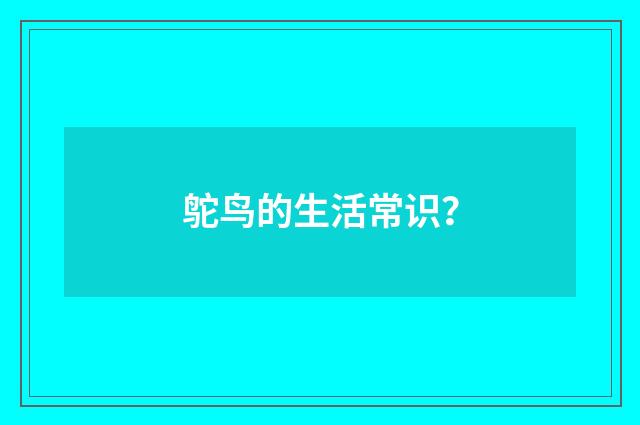 鸵鸟的生活常识？