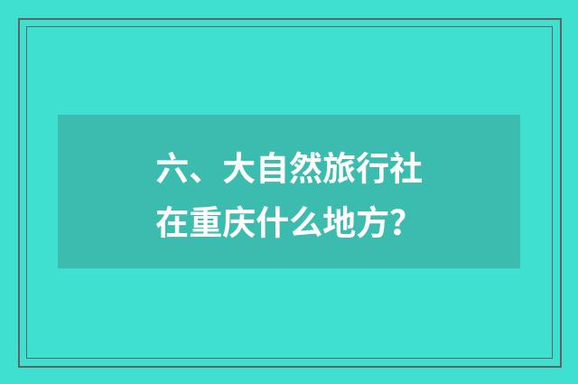 六、大自然旅行社在重庆什么地方?