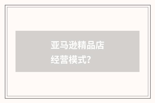 亚马逊精品店经营模式？