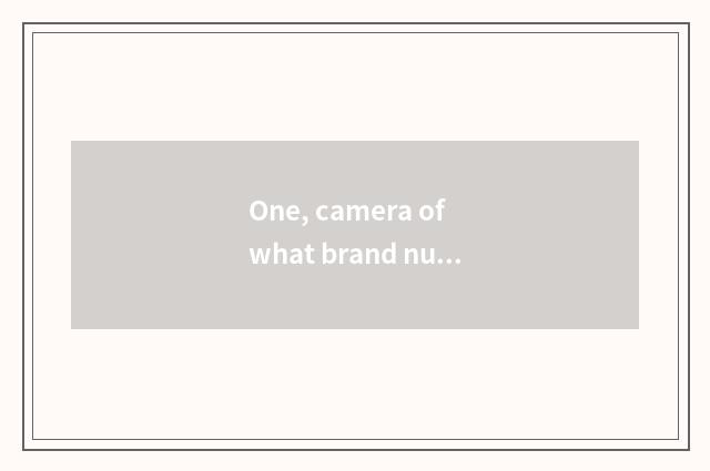 One, camera of what brand number is Fujifilm?
