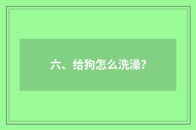 六、给狗怎么洗澡？