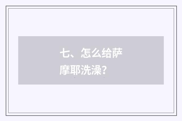 七、怎么给萨摩耶洗澡？