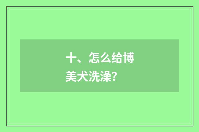 十、怎么给博美犬洗澡？