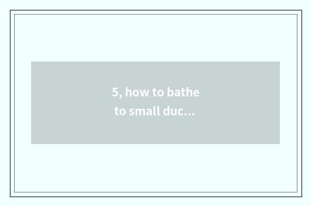 5, how to bathe to small duck?