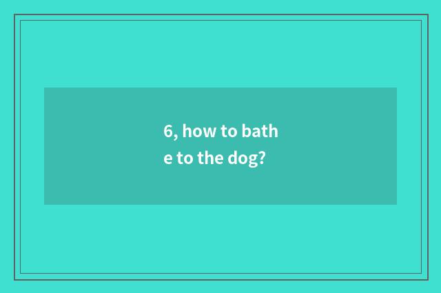 6, how to bathe to the dog?