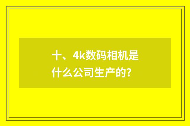十、4k数码相机是什么公司生产的？