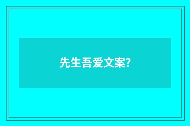 先生吾爱文案？