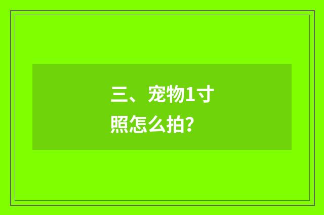 三、宠物1寸照怎么拍？