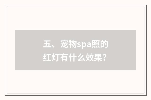 五、宠物spa照的红灯有什么效果？