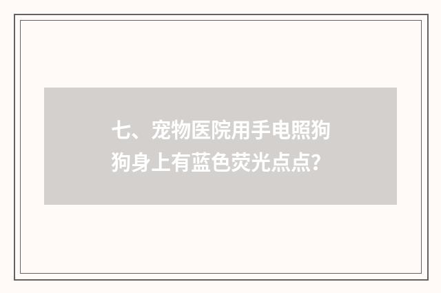 七、宠物医院用手电照狗狗身上有蓝色荧光点点?