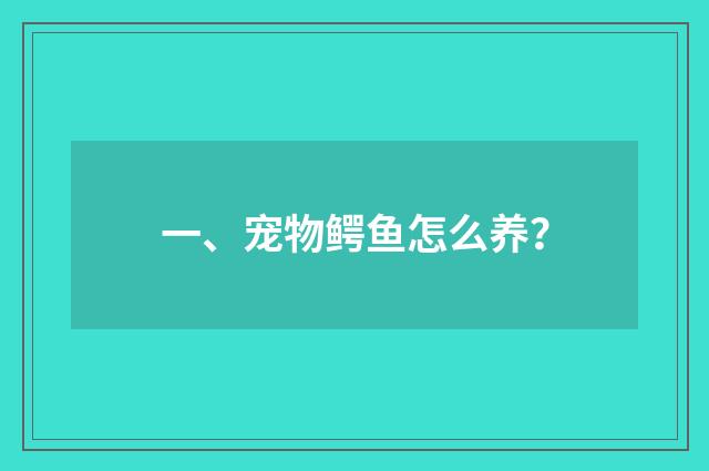 一、宠物鳄鱼怎么养？