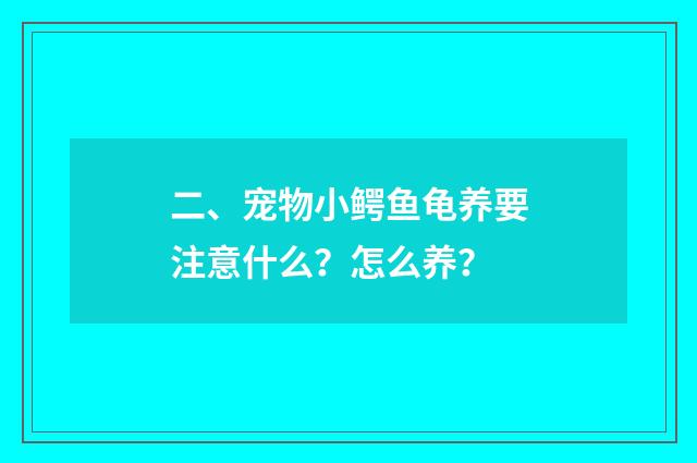 二、宠物小鳄鱼龟养要注意什么？怎么养？