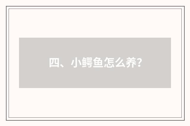 四、小鳄鱼怎么养？