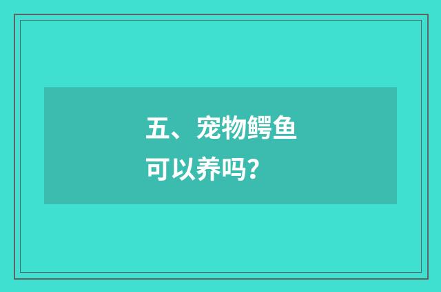 五、宠物鳄鱼可以养吗？