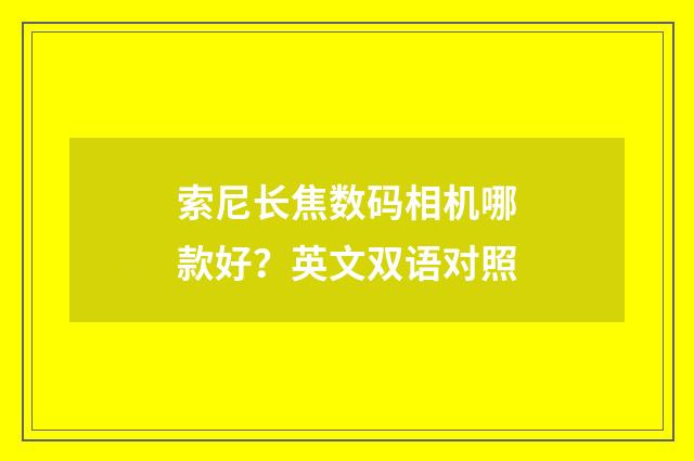 索尼长焦数码相机哪款好？英文双语对照