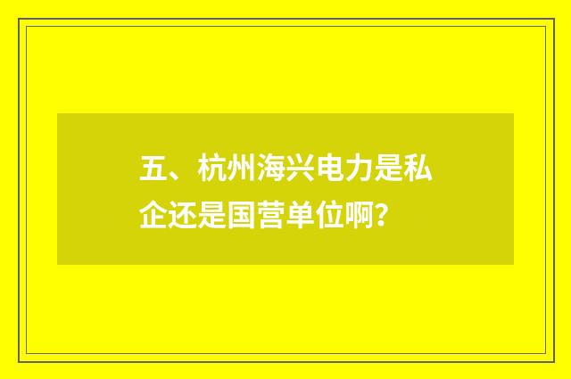 五、杭州海兴电力是私企还是国营单位啊？