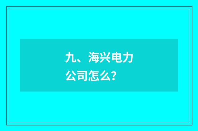 九、海兴电力公司怎么？