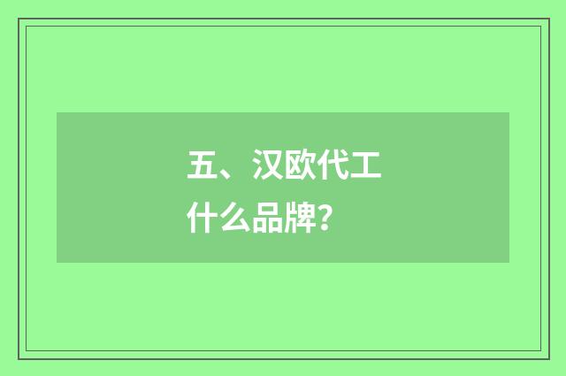 五、汉欧代工什么品牌？