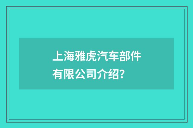 上海雅虎汽车部件有限公司介绍？