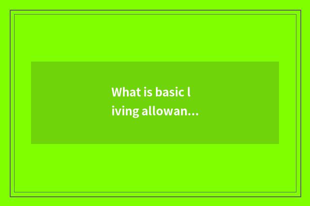 What is basic living allowance?