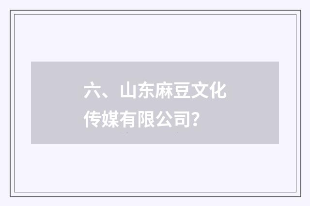 六、山东麻豆文化传媒有限公司？
