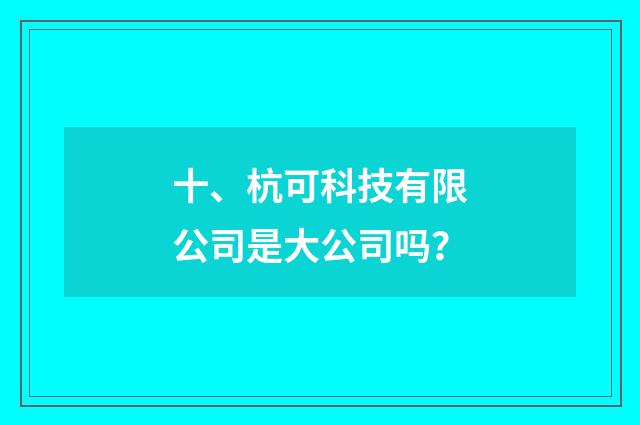 十、杭可科技有限公司是大公司吗？