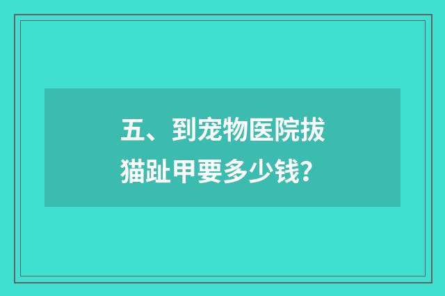 五、到宠物医院拔猫趾甲要多少钱？