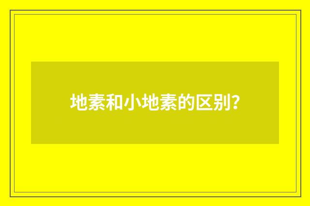 地素和小地素的区别？