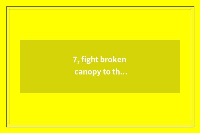 7, fight broken canopy to there is stand-alone game?