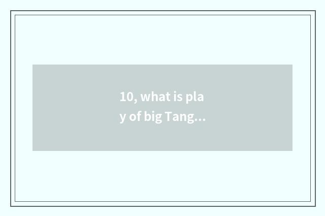 10, what is play of big Tang You?