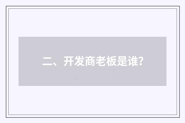 二、开发商老板是谁？