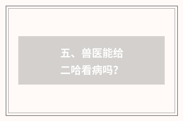 五、兽医能给二哈看病吗？