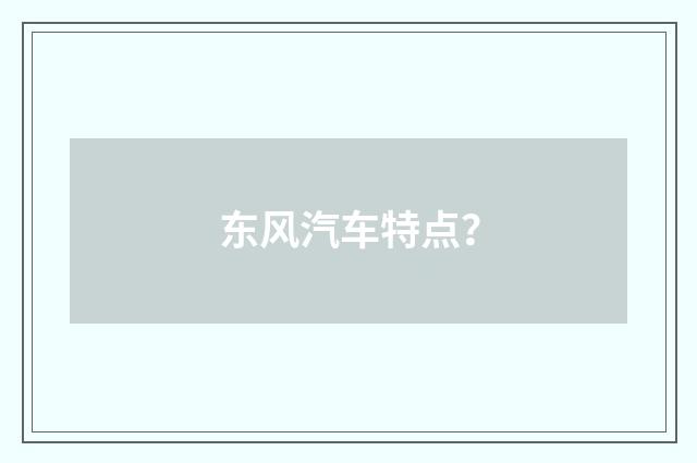 东风汽车特点？