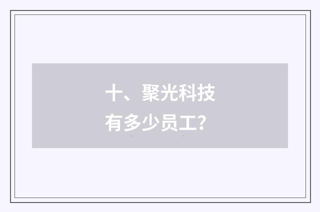 十、聚光科技有多少员工？