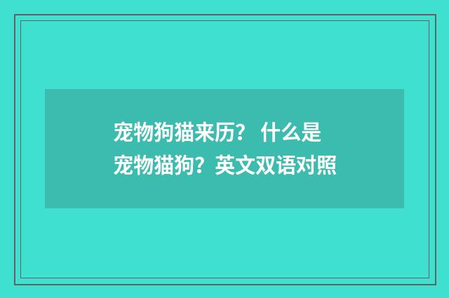 宠物狗猫来历? 什么是宠物猫狗?英文双语对照