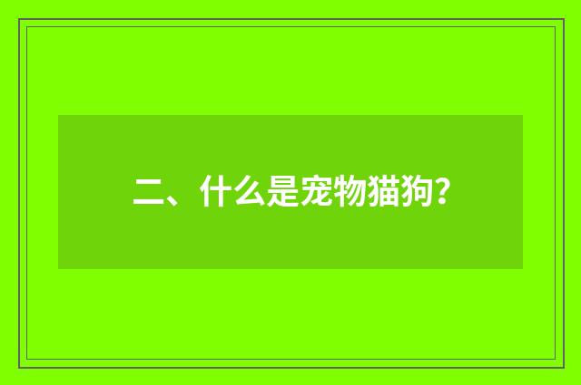 二、什么是宠物猫狗？