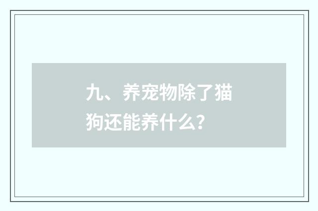 九、养宠物除了猫狗还能养什么？