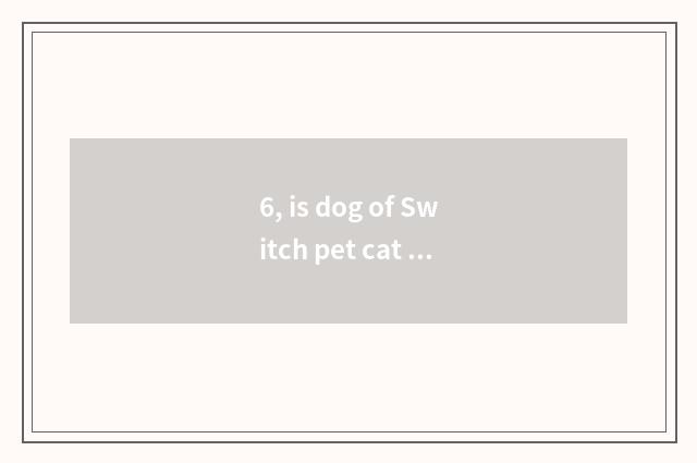 6, is dog of Switch pet cat worth to buy?