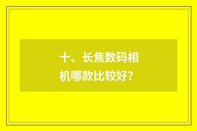 十、长焦数码相机哪款比较好?