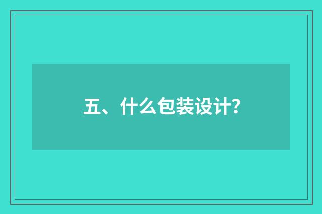 五、什么包装设计？
