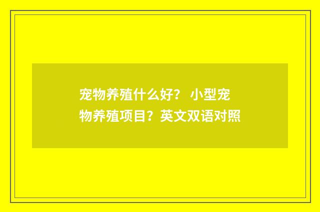 宠物养殖什么好? 小型宠物养殖项目?英文双语对照