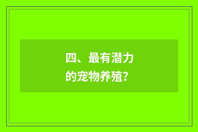 四、最有潜力的宠物养殖？