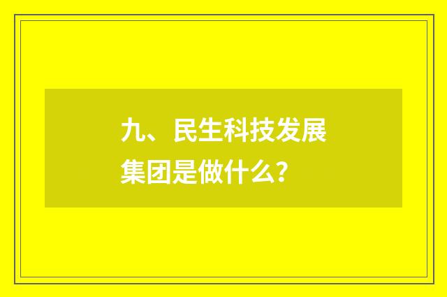 九、民生科技发展集团是做什么？