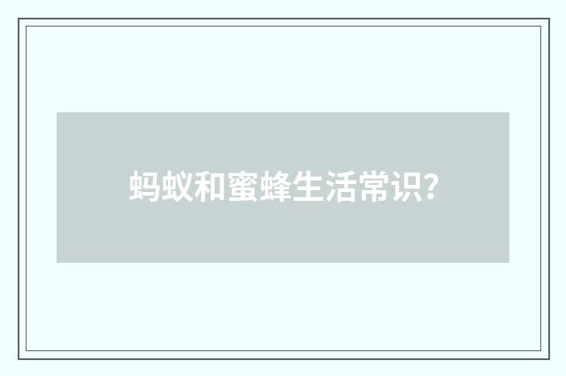 蚂蚁和蜜蜂生活常识？