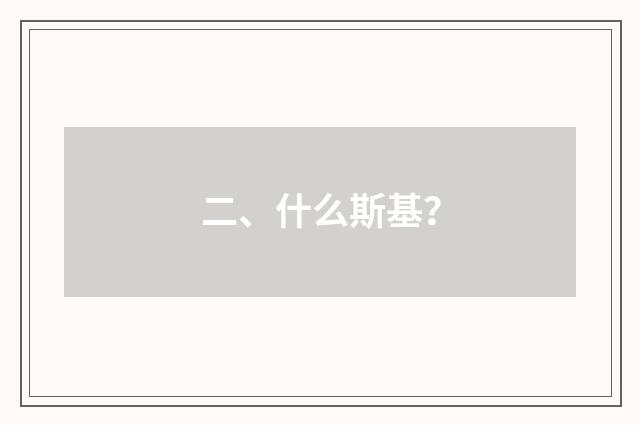 二、什么斯基？