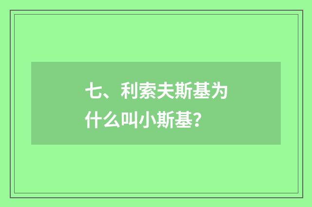 七、利索夫斯基为什么叫小斯基？